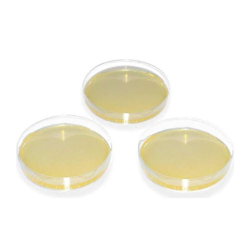 BD™ Sabouraud-Glucose-Agar